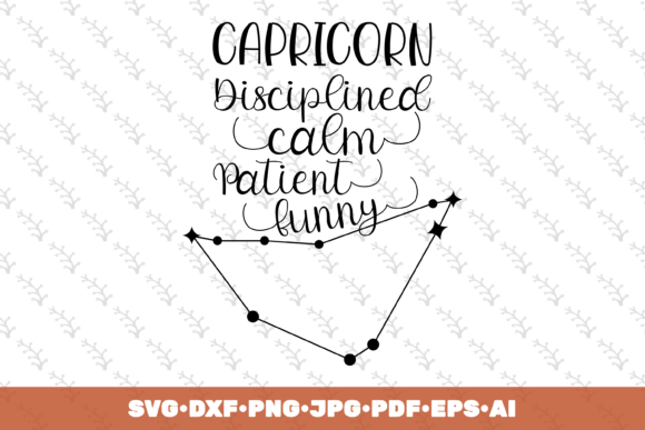 Capricorn Disciplined Calm Patient Funny Review